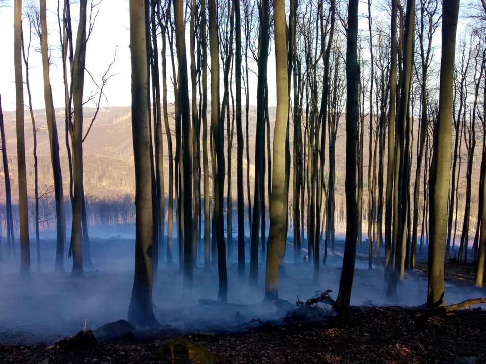 02 - Požiar lesa na Pezinskej Babe